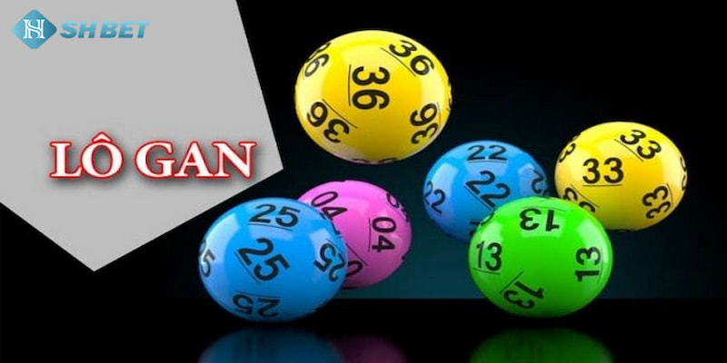 Banner www.noithatlp.com