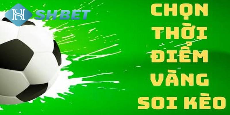 Banner www.noithatlp.com