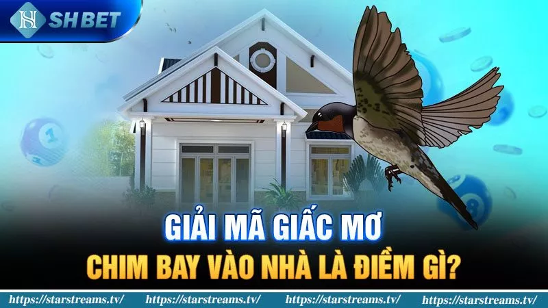 Banner www.noithatlp.com