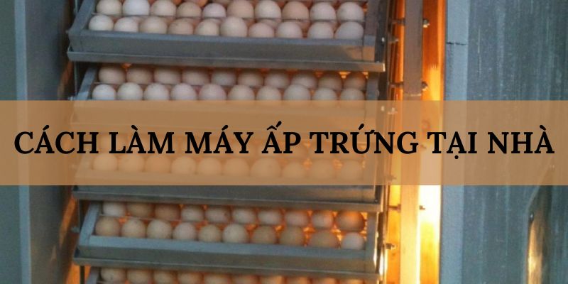 Banner www.noithatlp.com