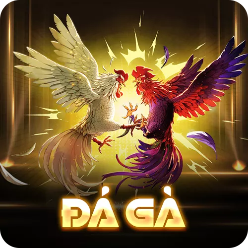 Banner www.noithatlp.com