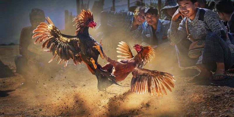 Banner www.noithatlp.com