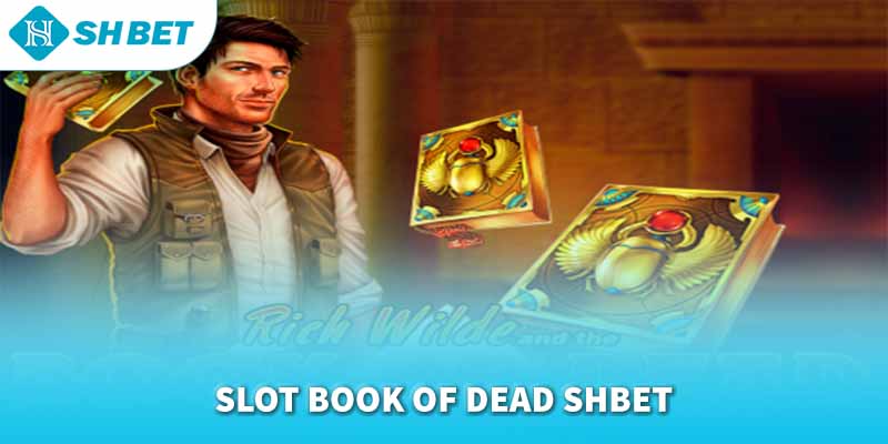 Banner www.noithatlp.com