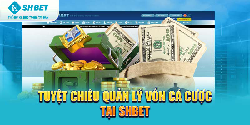 Banner www.noithatlp.com